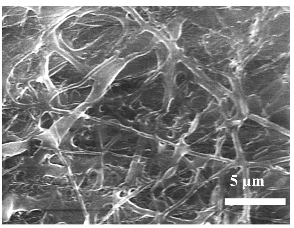 Nanomaterials 03 00357 g002 1024