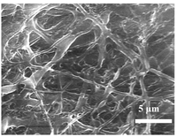 Nanomaterials 03 00357 g002 200