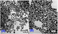 Nanomaterials 03 00370 g006 200