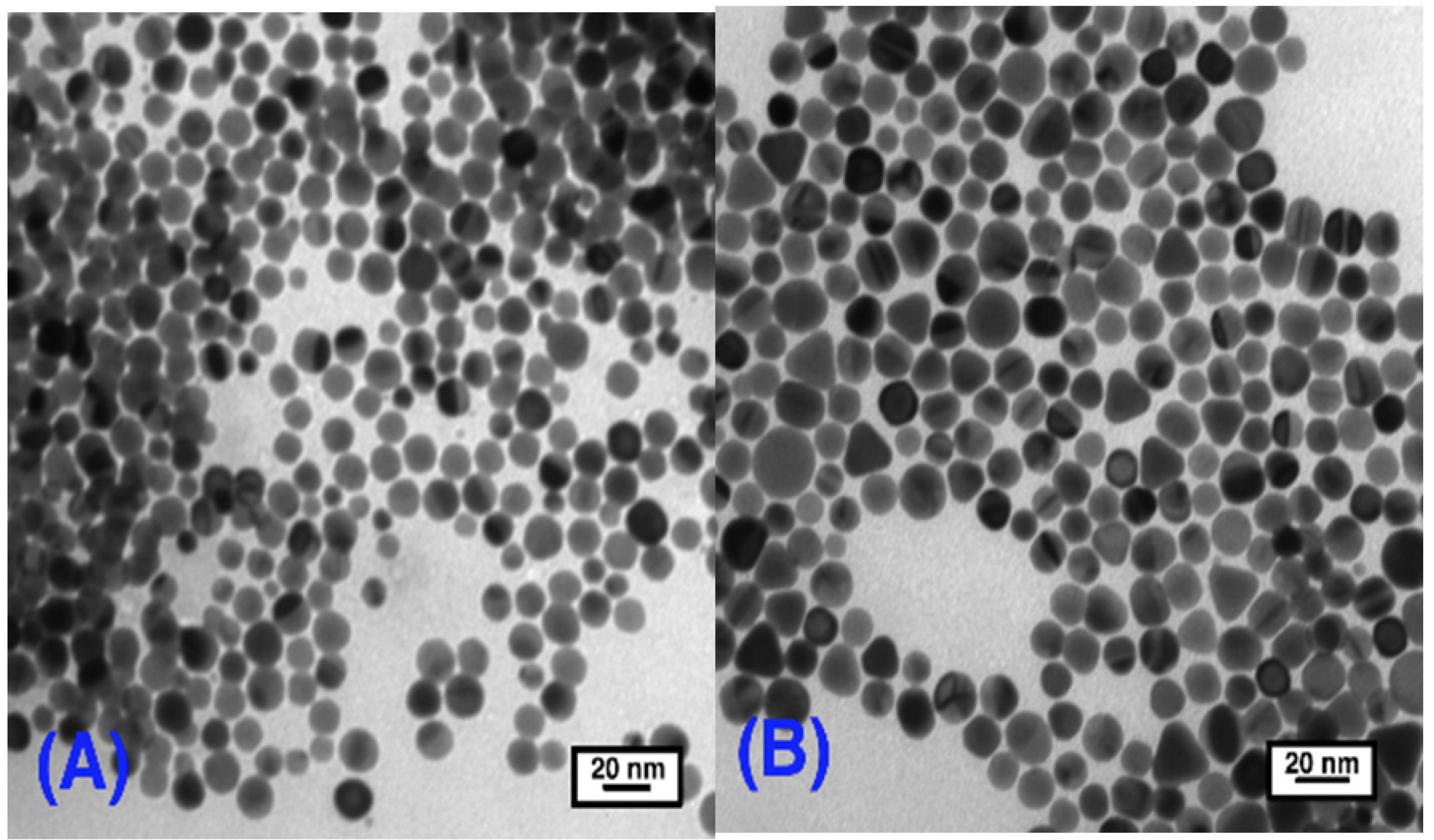 Nanomaterials 03 00370 g006