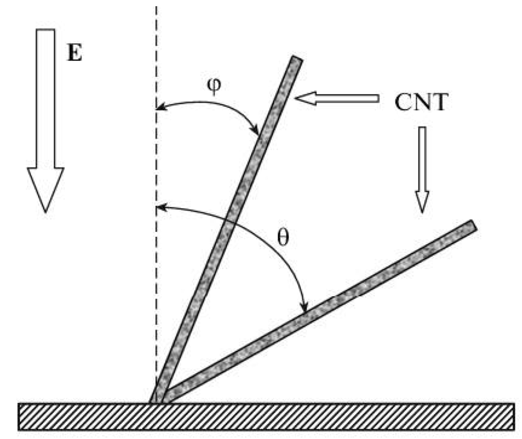 Nanomaterials 03 00393 g008 1024
