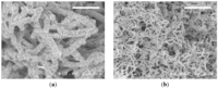 Nanomaterials 03 00498 g007 200
