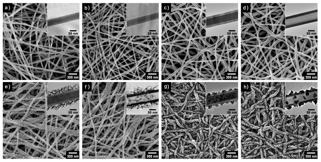 Nanomaterials 03 00524 g001 1024