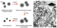 Nanomaterials 03 00524 g002 200