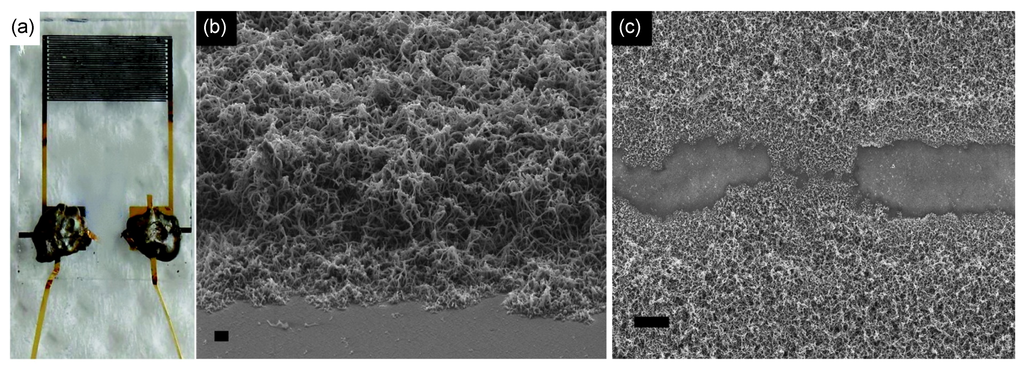 Nanomaterials 03 00524 g006 1024