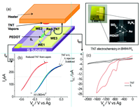 Nanomaterials 03 00524 g007 200