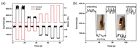 Nanomaterials 03 00524 g012 200