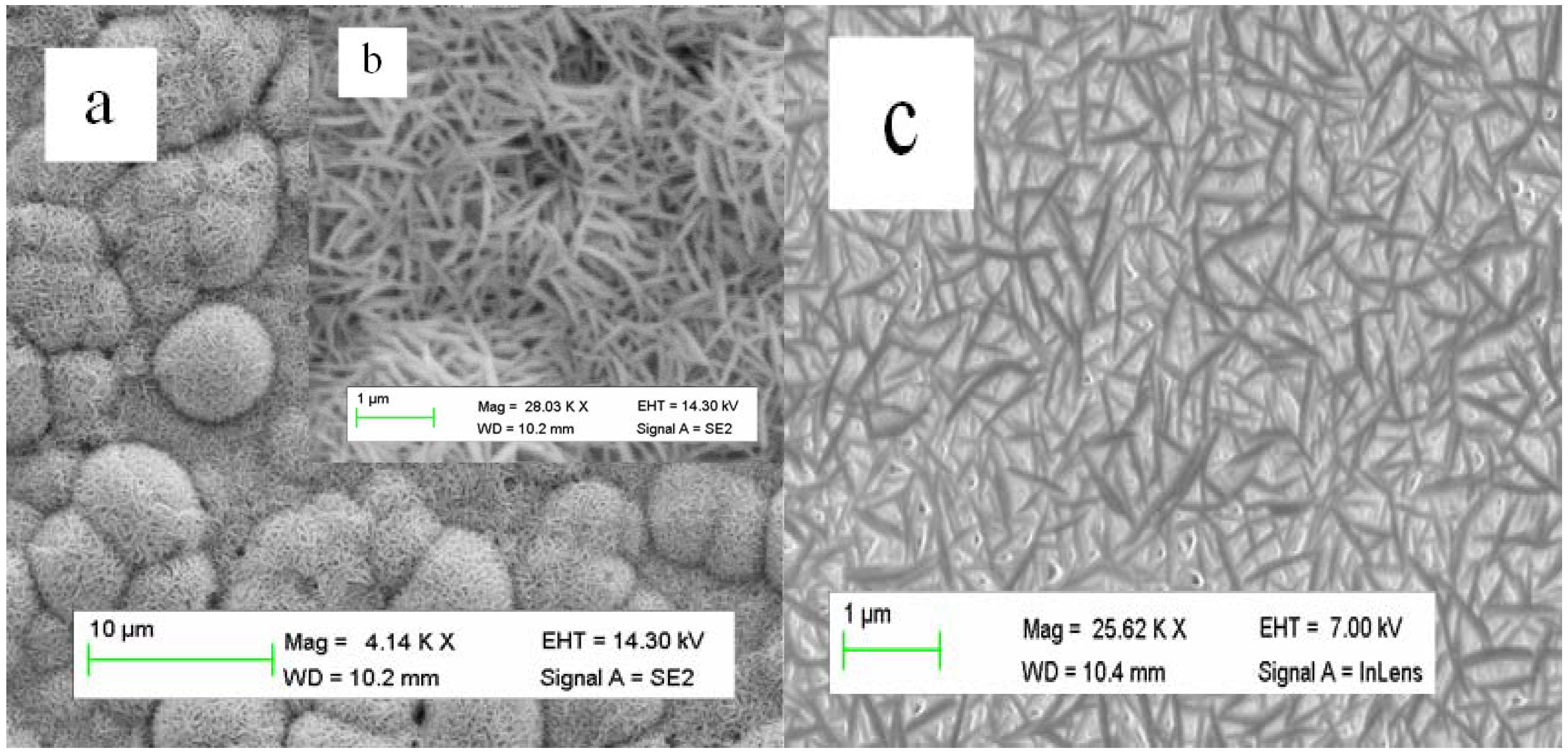 Nanomaterials 03 00564 g002