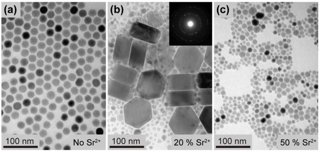Nanomaterials 03 00583 g003 1024