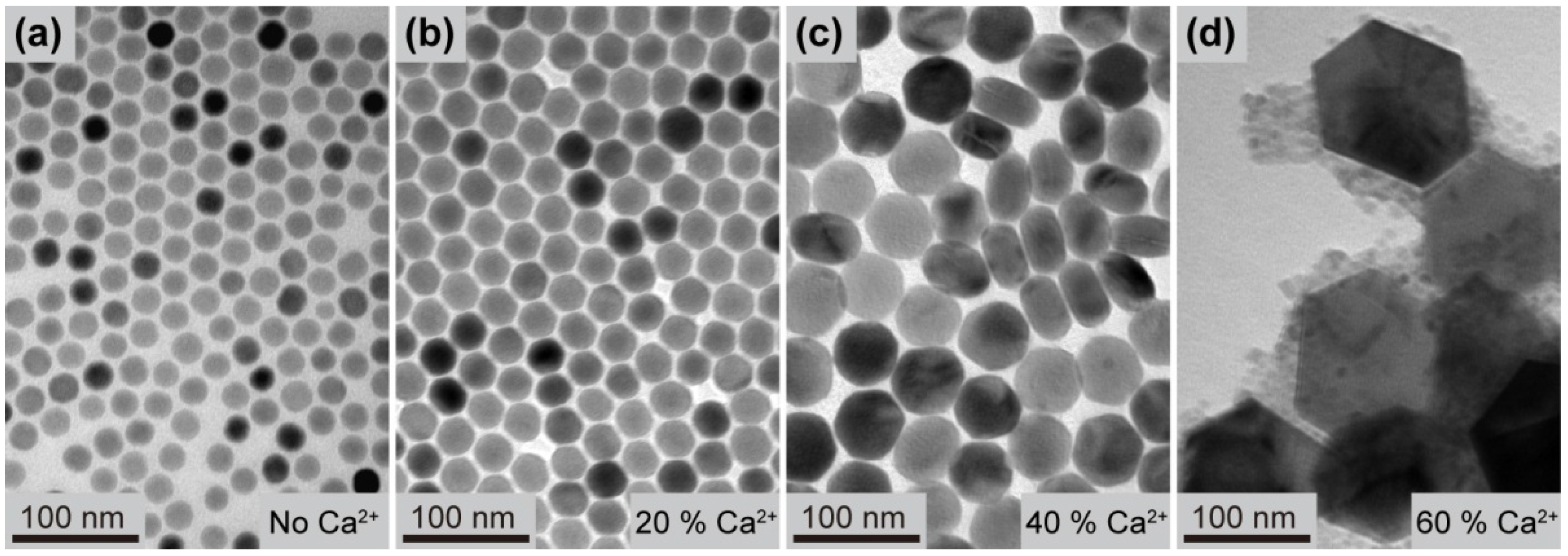 Nanomaterials 03 00583 g005