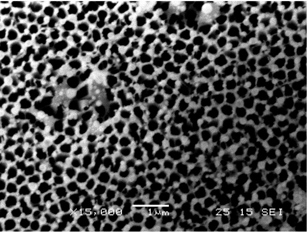 Nanomaterials 03 00592 g005 1024