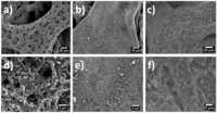 Nanomaterials 03 00606 g001 200