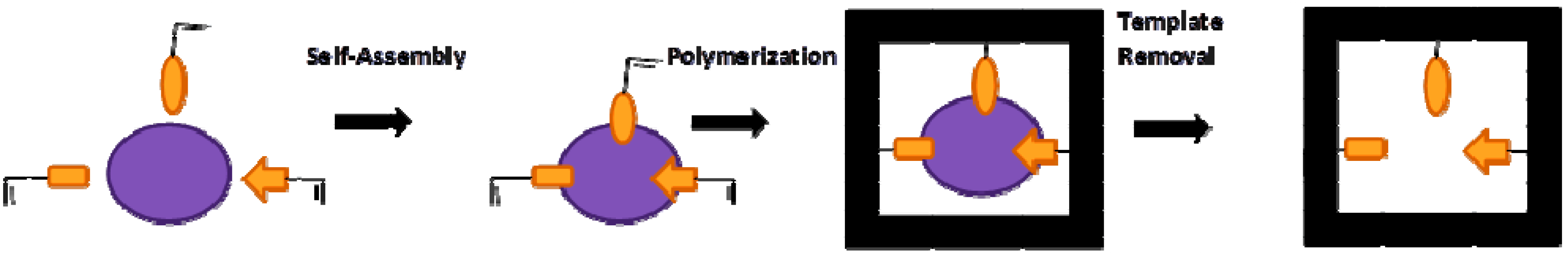 Nanomaterials 03 00615 g001