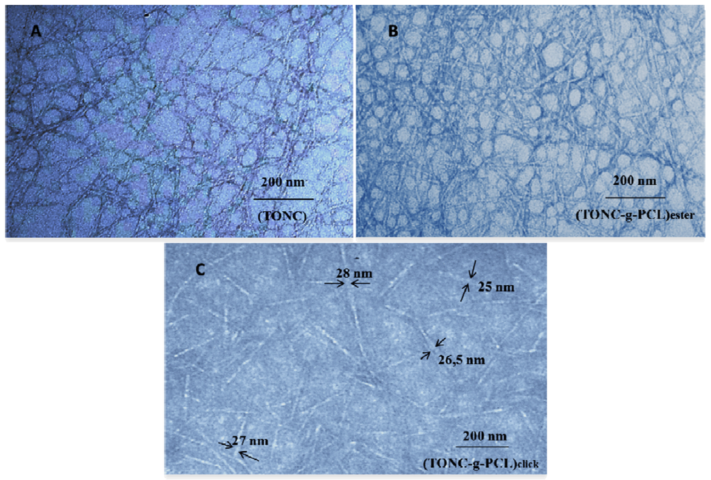 Nanomaterials 03 00638 g008 1024