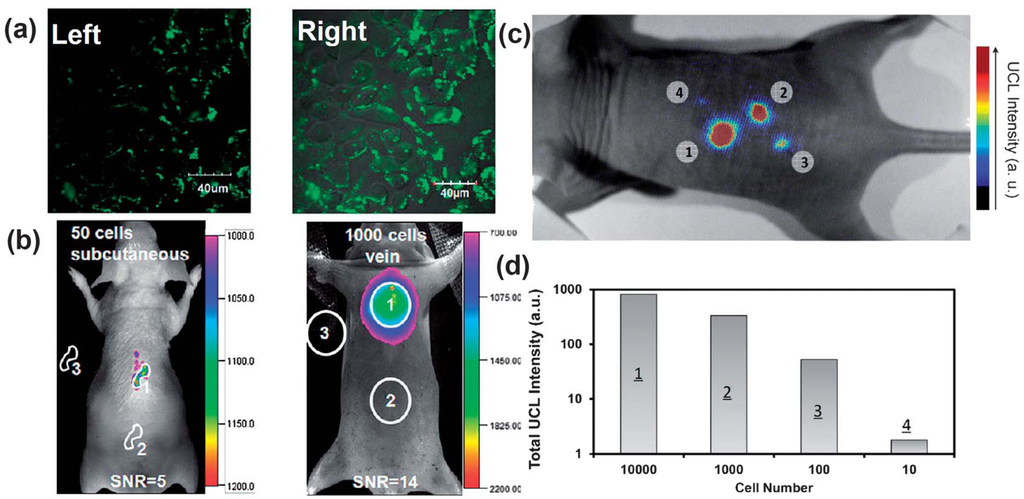 Nanomaterials 04 00129 g005 1024