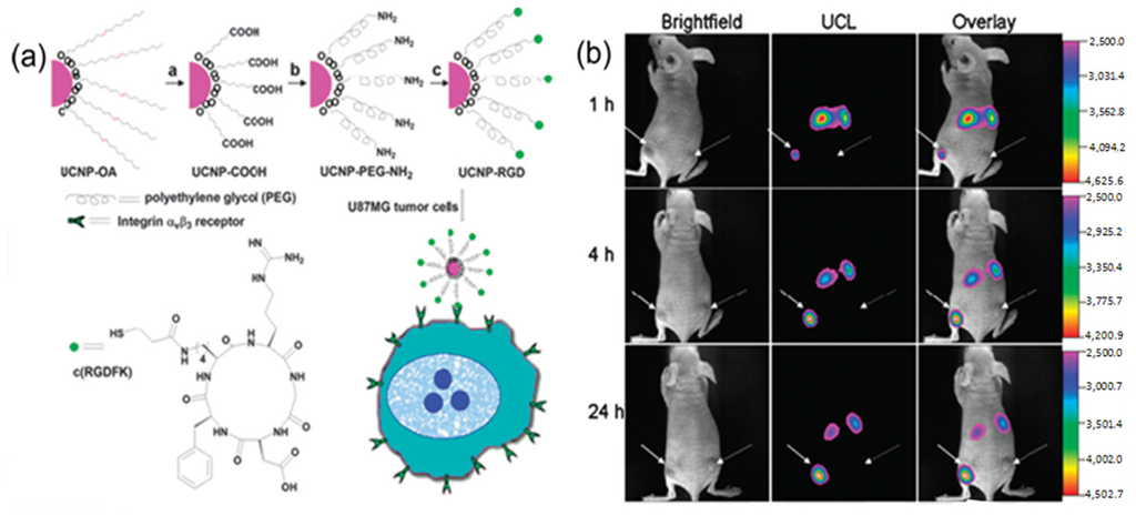 Nanomaterials 04 00129 g006 1024