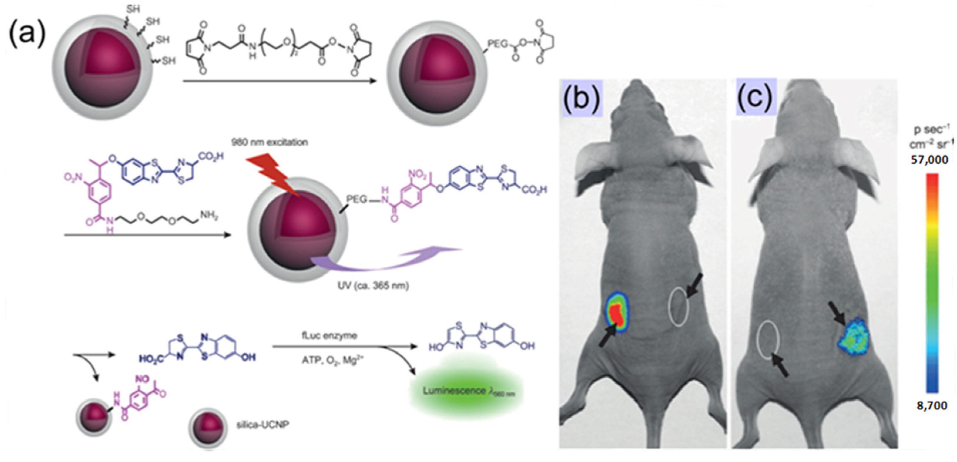 Nanomaterials 04 00129 g008
