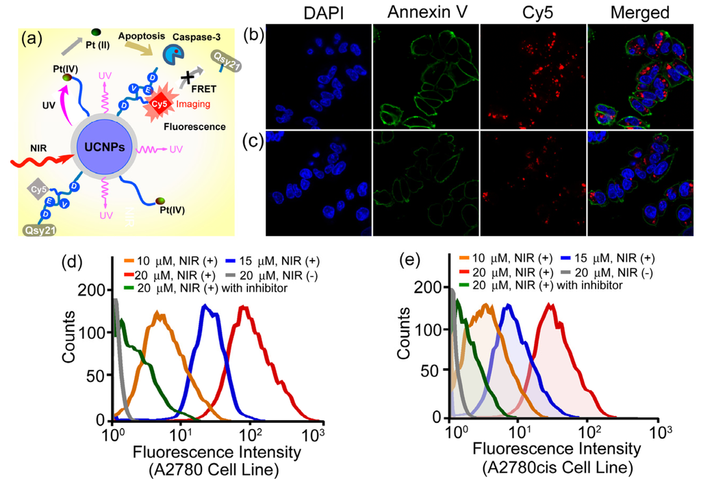 Nanomaterials 04 00129 g009 1024