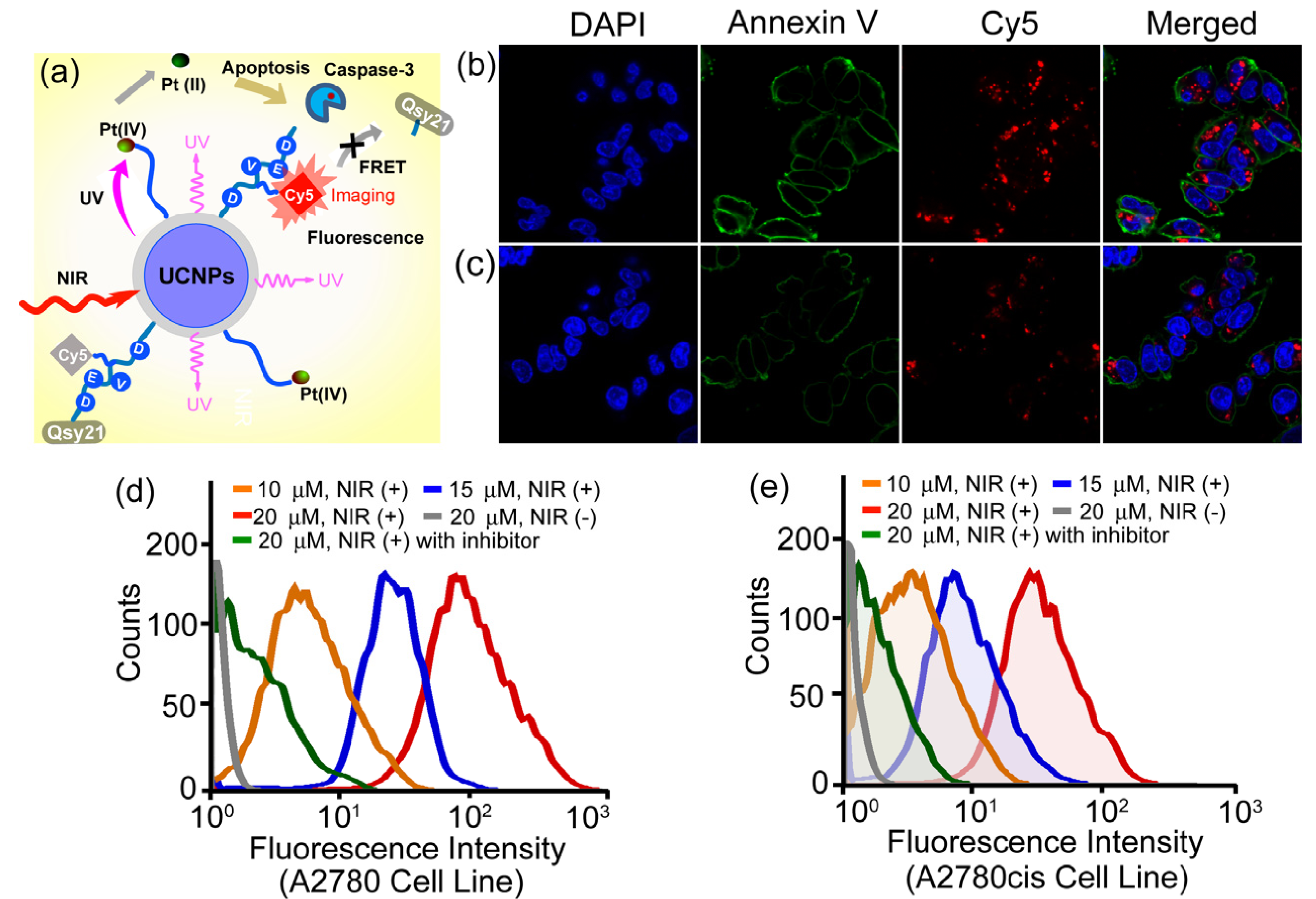 Nanomaterials 04 00129 g009