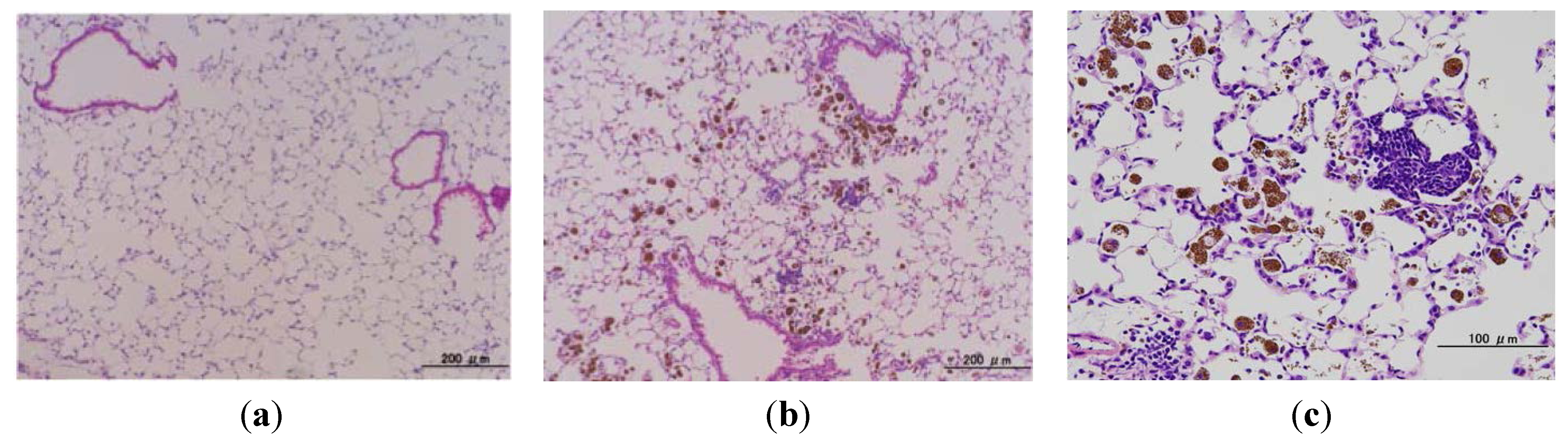Nanomaterials 04 00175 g004