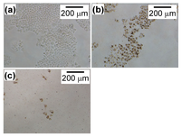 Nanomaterials 04 00319 g004 200