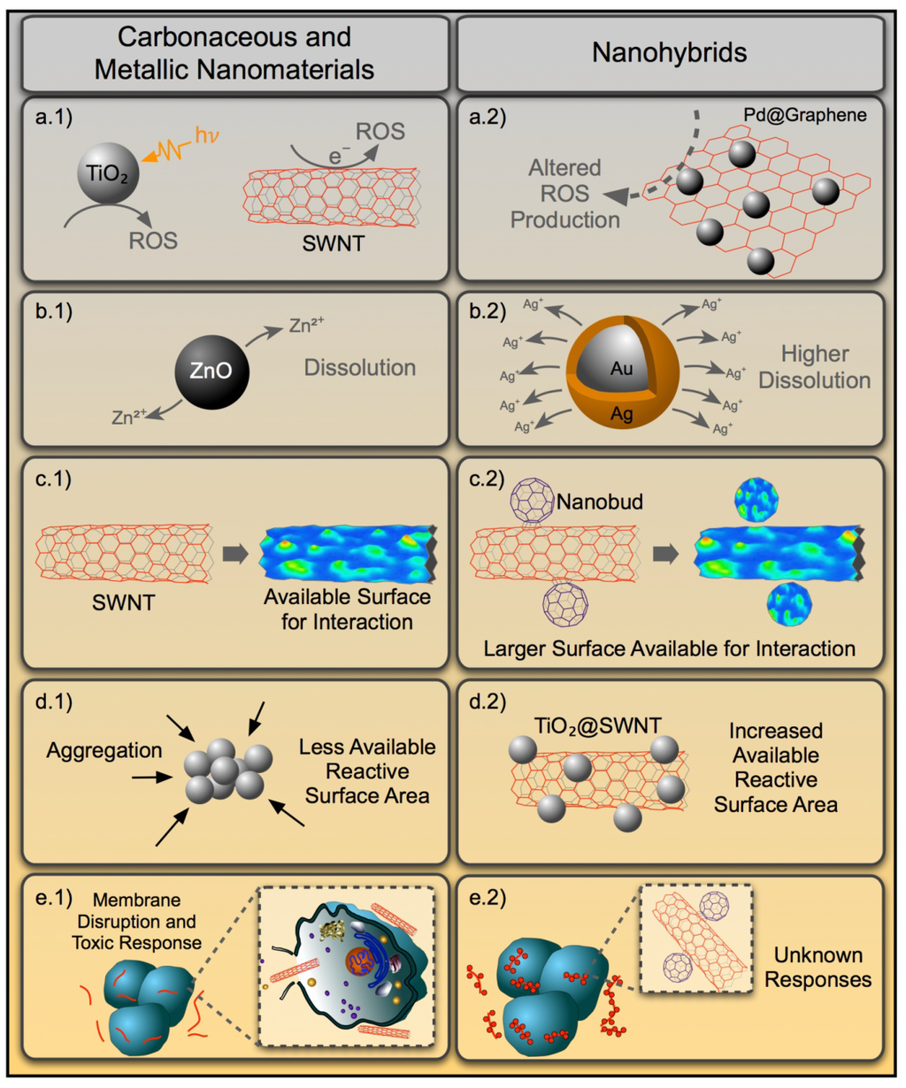 download concrete5