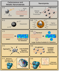 Nanomaterials 04 00372 g002 200