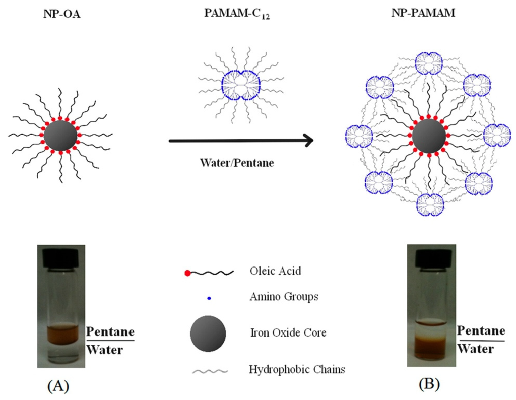 Nanomaterials 04 00408 g004 1024