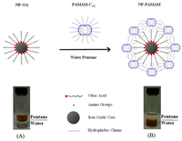 Nanomaterials 04 00408 g004 200