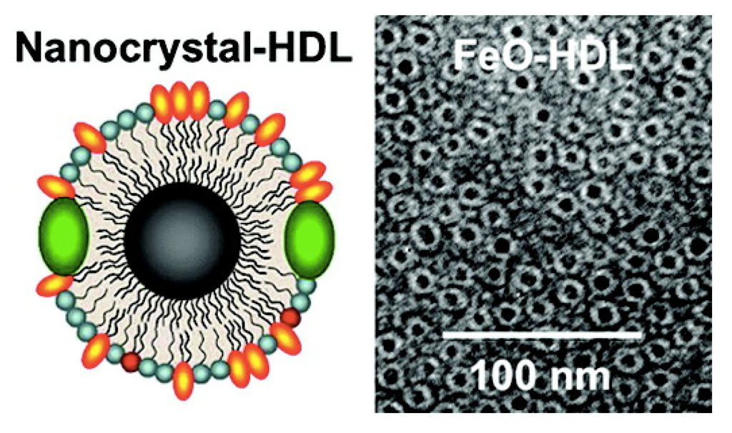Nanomaterials 04 00408 g005 1024