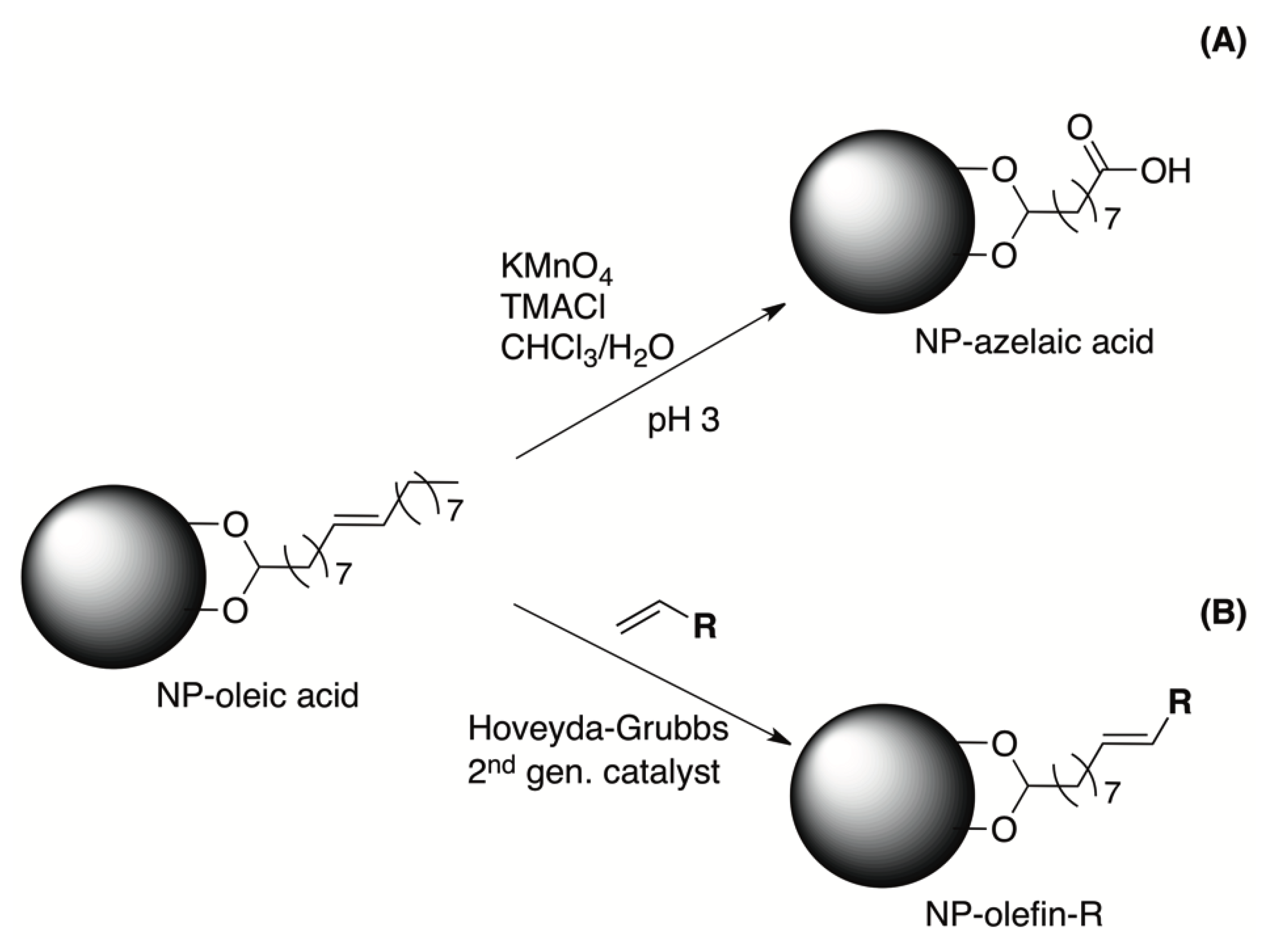 Nanomaterials 04 00408 g006