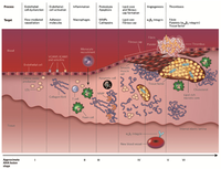 Nanomaterials 04 00408 g008 200