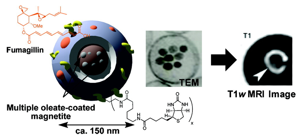 Nanomaterials 04 00408 g009 1024