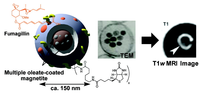 Nanomaterials 04 00408 g009 200