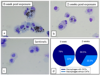Nanomaterials 04 00439 g008 200