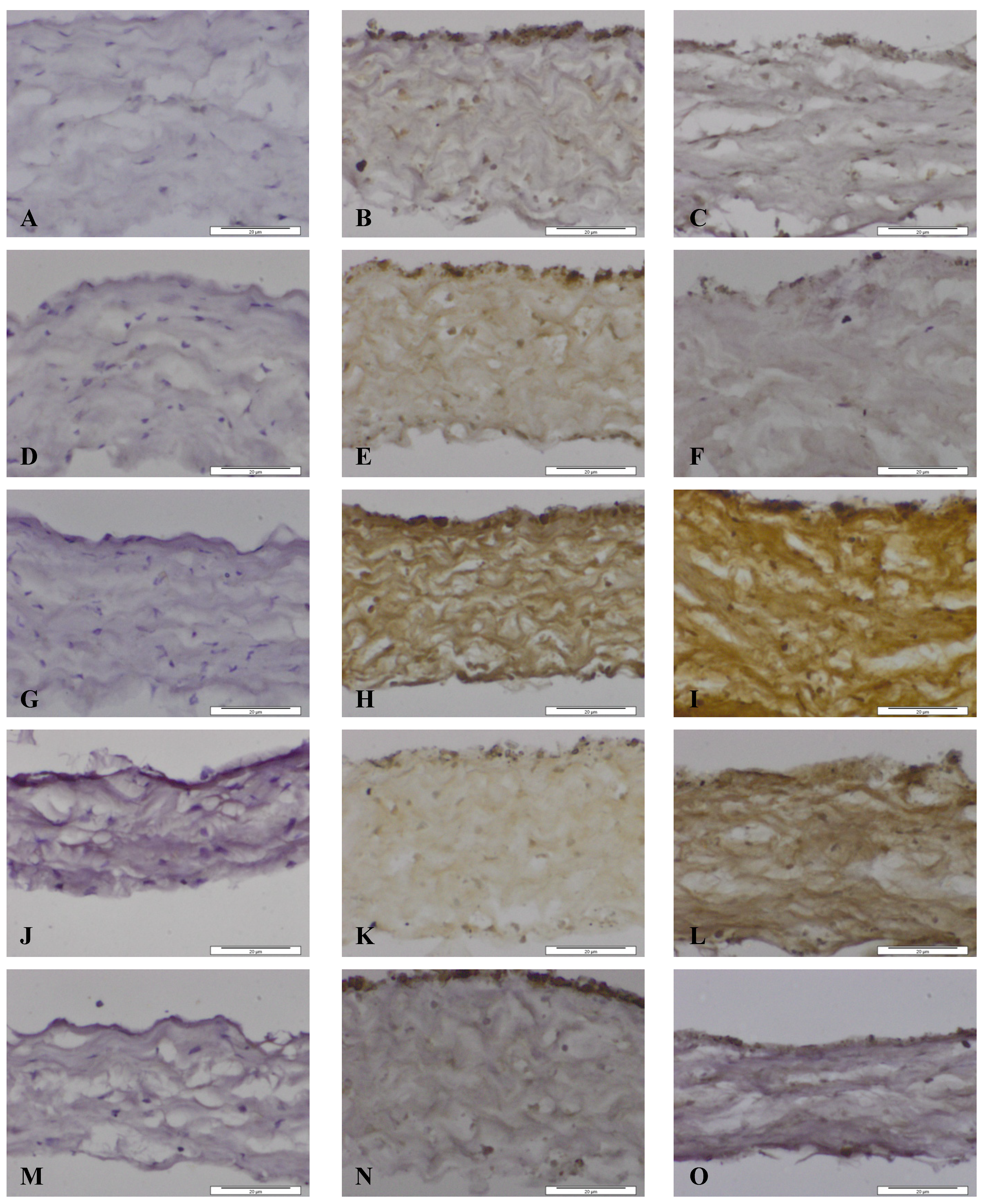 Nanomaterials 04 00485 g005