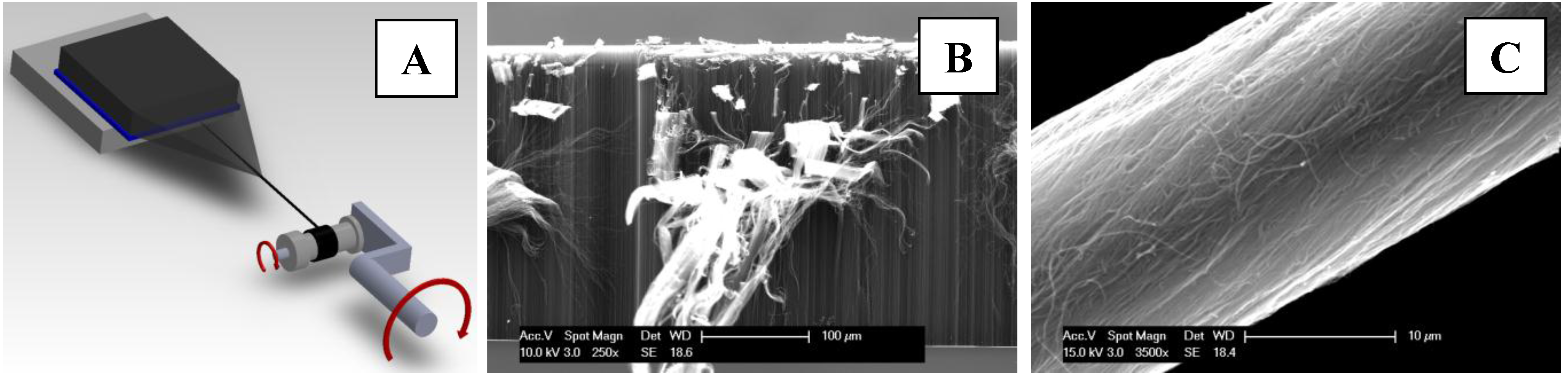 a study on nanotechnologies and the potential applications of nanotube fibers and carbon nanotubes c There are several potential applications for carbon nanotubes the article reports on the study of cytotoxicity of c 60 carbon-nanotube fibers,. a study on nanotechnologies and the potential applications of nanotube fibers and carbon nanotubes c There are several potential applications for carbon nanotubes the article reports on the study of cytotoxicity of c 60 carbon-nanotube fibers,.