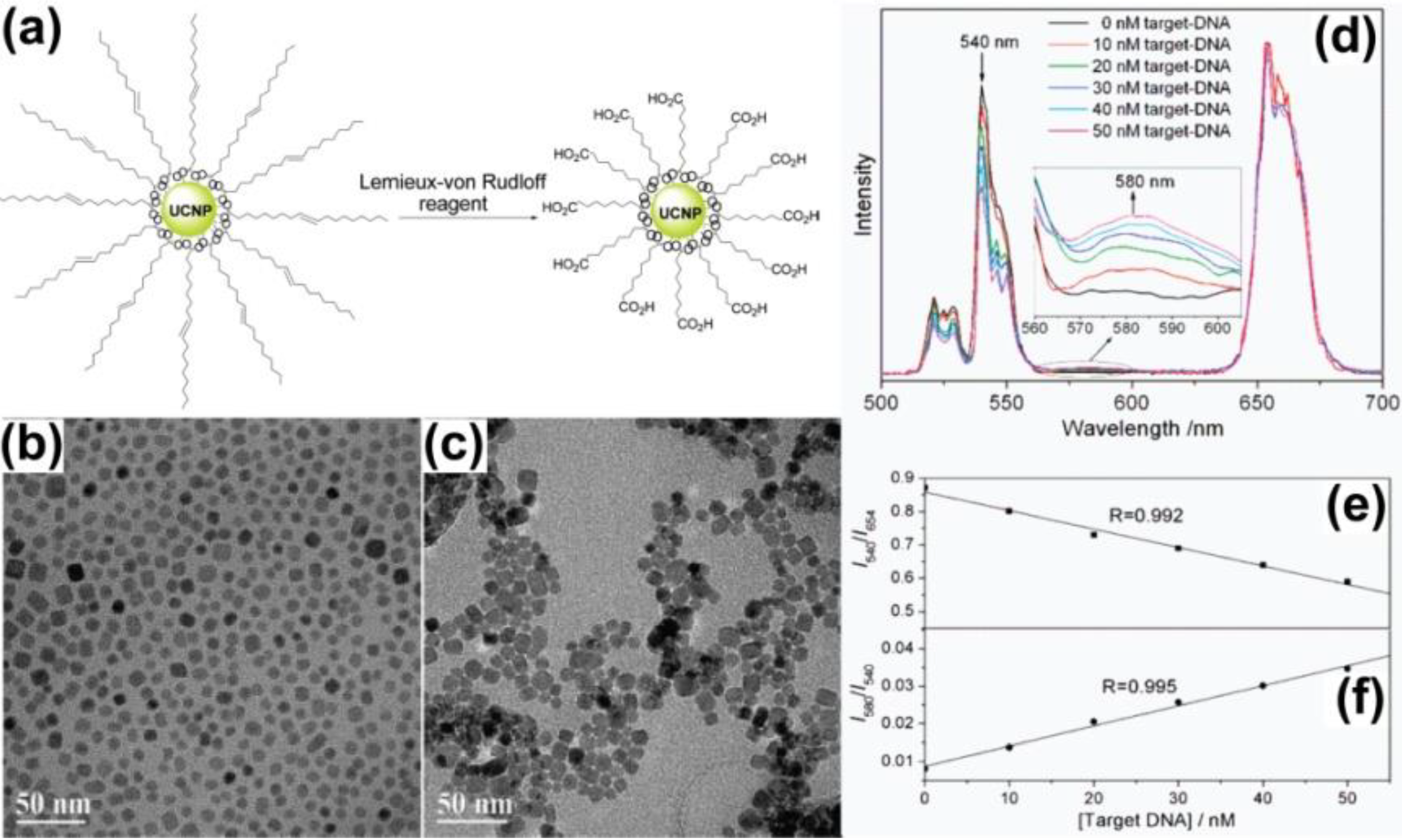 upconversion nanoparticles synthesis surface modification and Multifunctional upconversion-magnetic hybrid nanostructured materials: nanostructured materials: synthesis surface modification of nanoparticles. upconversion nanoparticles synthesis surface modification and Multifunctional upconversion-magnetic hybrid nanostructured materials: nanostructured materials: synthesis surface modification of nanoparticles.
