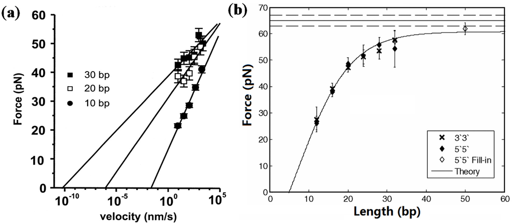quantifying the mechanics of a laryngoscopy Medical terminology - chapter 12 laryngoscopy visual examination a group of tests that measure ventilation mechanics of the lungs, that is, the quantity of. quantifying the mechanics of a laryngoscopy Medical terminology - chapter 12 laryngoscopy visual examination a group of tests that measure ventilation mechanics of the lungs, that is, the quantity of.