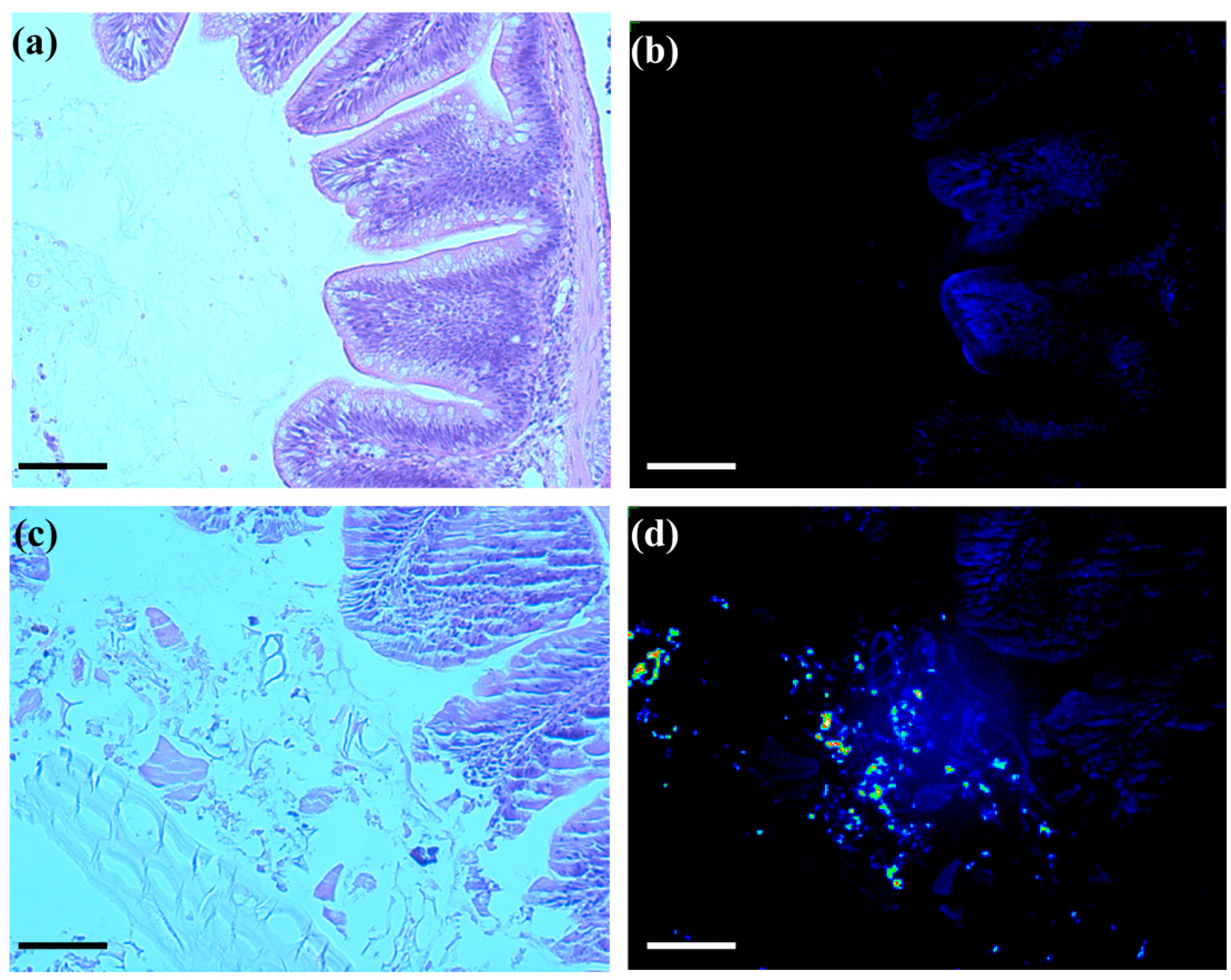 Nanomaterials 05 01066 g003