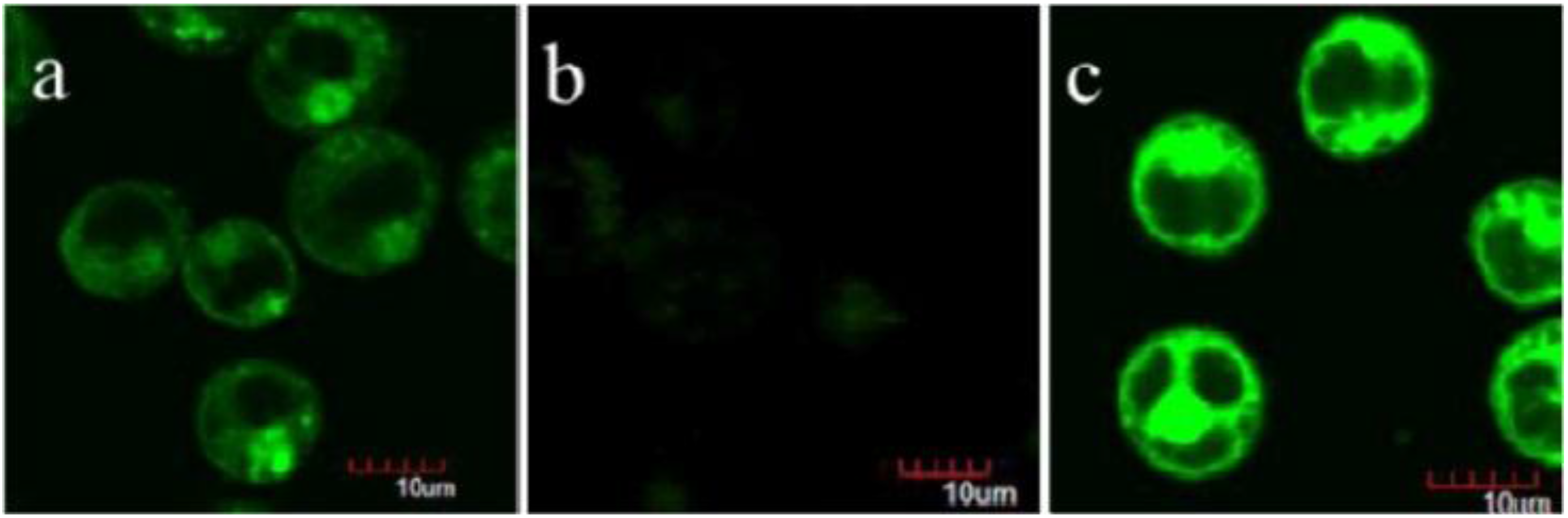 Nanomaterials 06 00081 g009