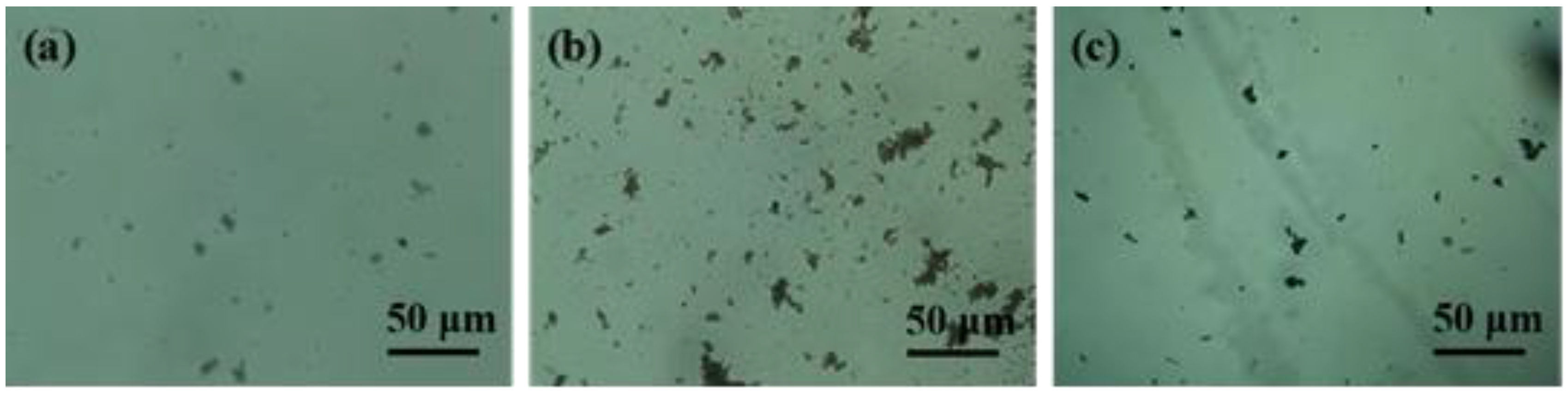 Nanomaterials 06 00089 g002