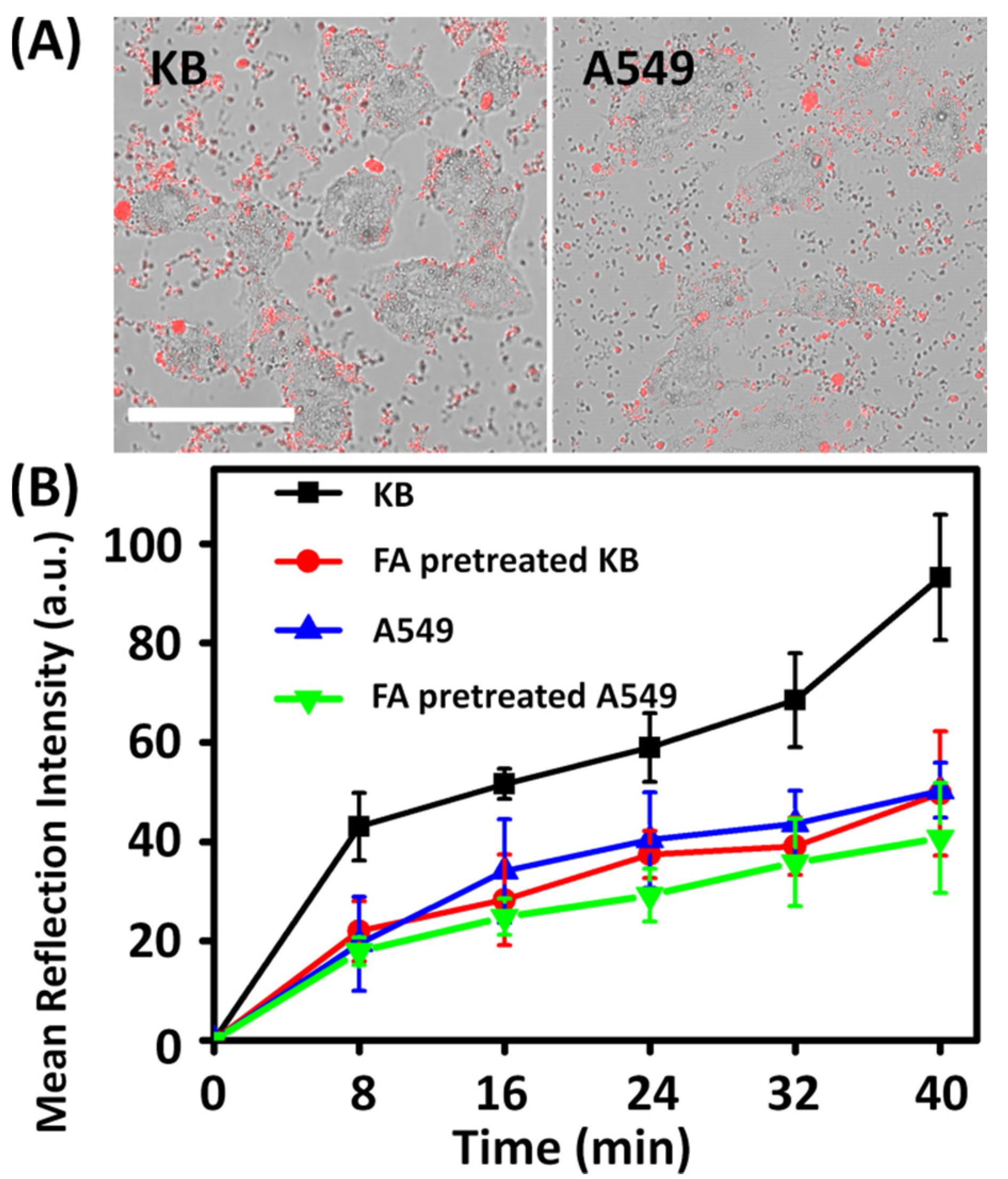 Nanomaterials 06 00113 g003