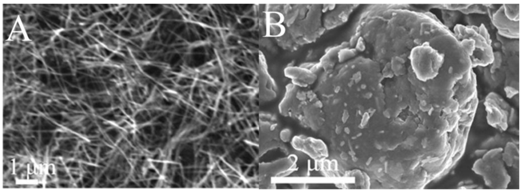 applications of silver nanowires technology agnws La jolla, ca (22 october 2012) seashell technology, a leading supplier of silver nanowires (agnws), now offers two additional silver nanowire products to its existing silver nanowire product line: agnw-25 and agnw-130. applications of silver nanowires technology agnws La jolla, ca (22 october 2012) seashell technology, a leading supplier of silver nanowires (agnws), now offers two additional silver nanowire products to its existing silver nanowire product line: agnw-25 and agnw-130.