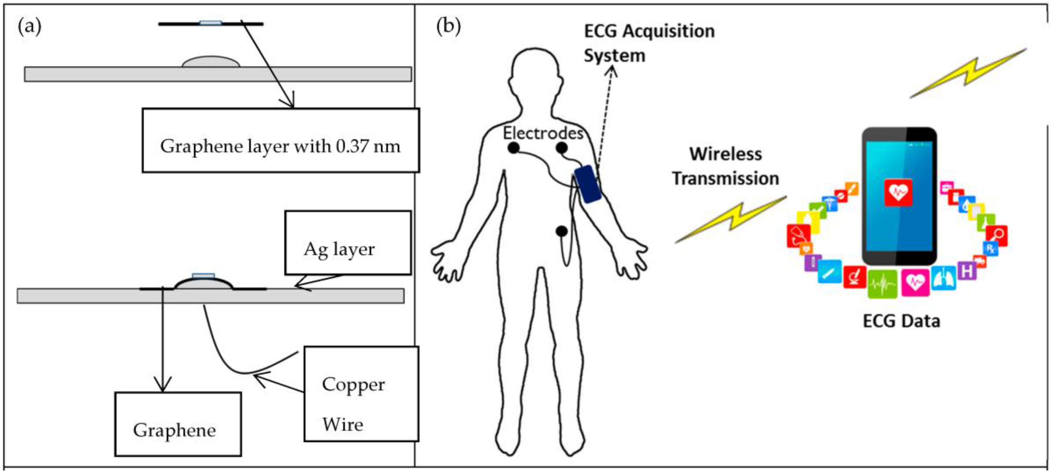 Nanomaterials 06 00156 g005