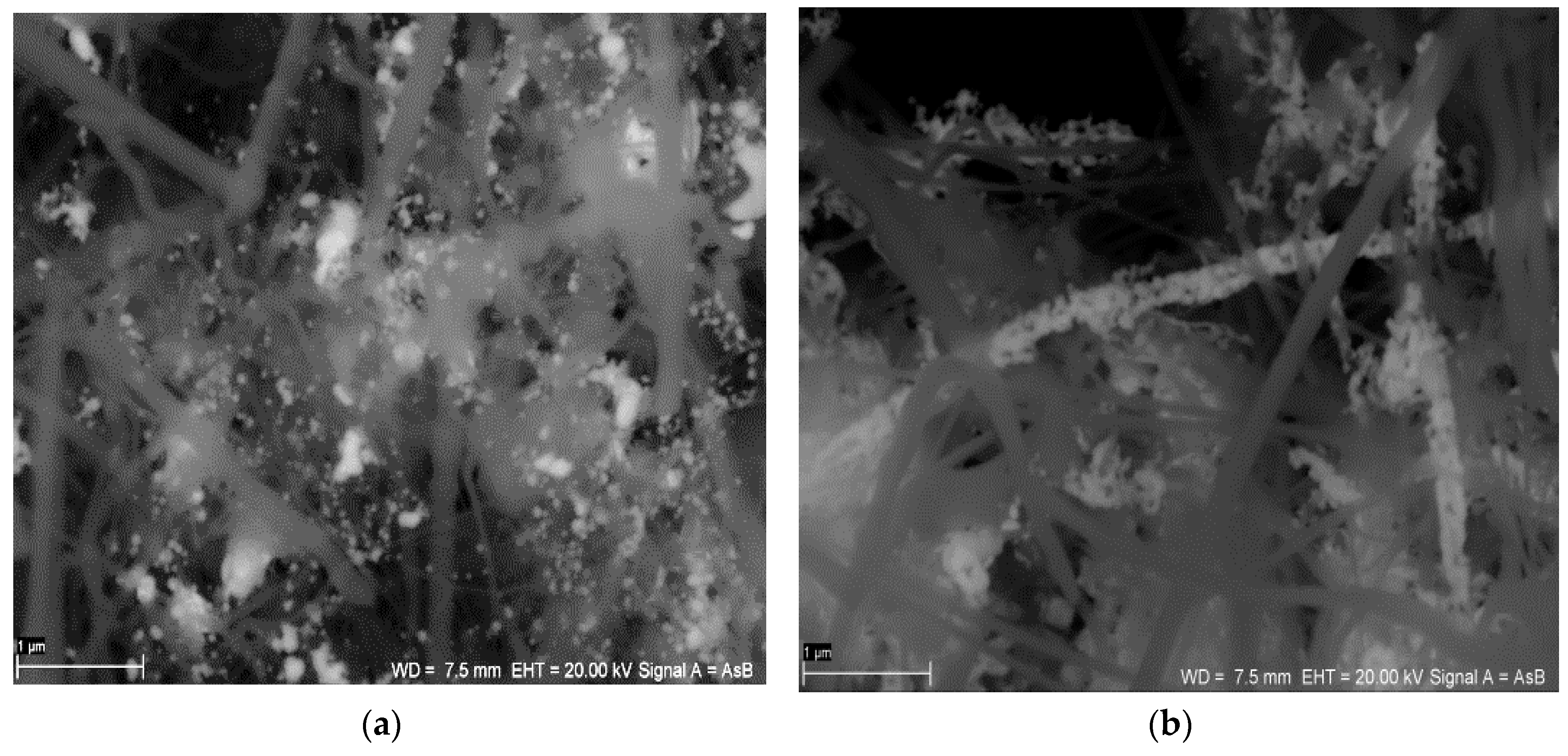 Nanomaterials 06 00171 g002
