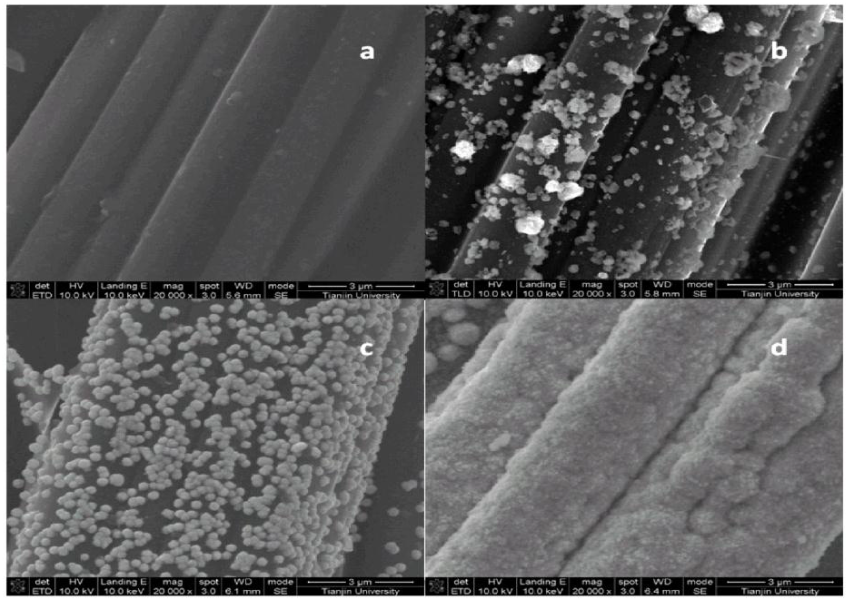 Nanomaterials 06 00238 g001