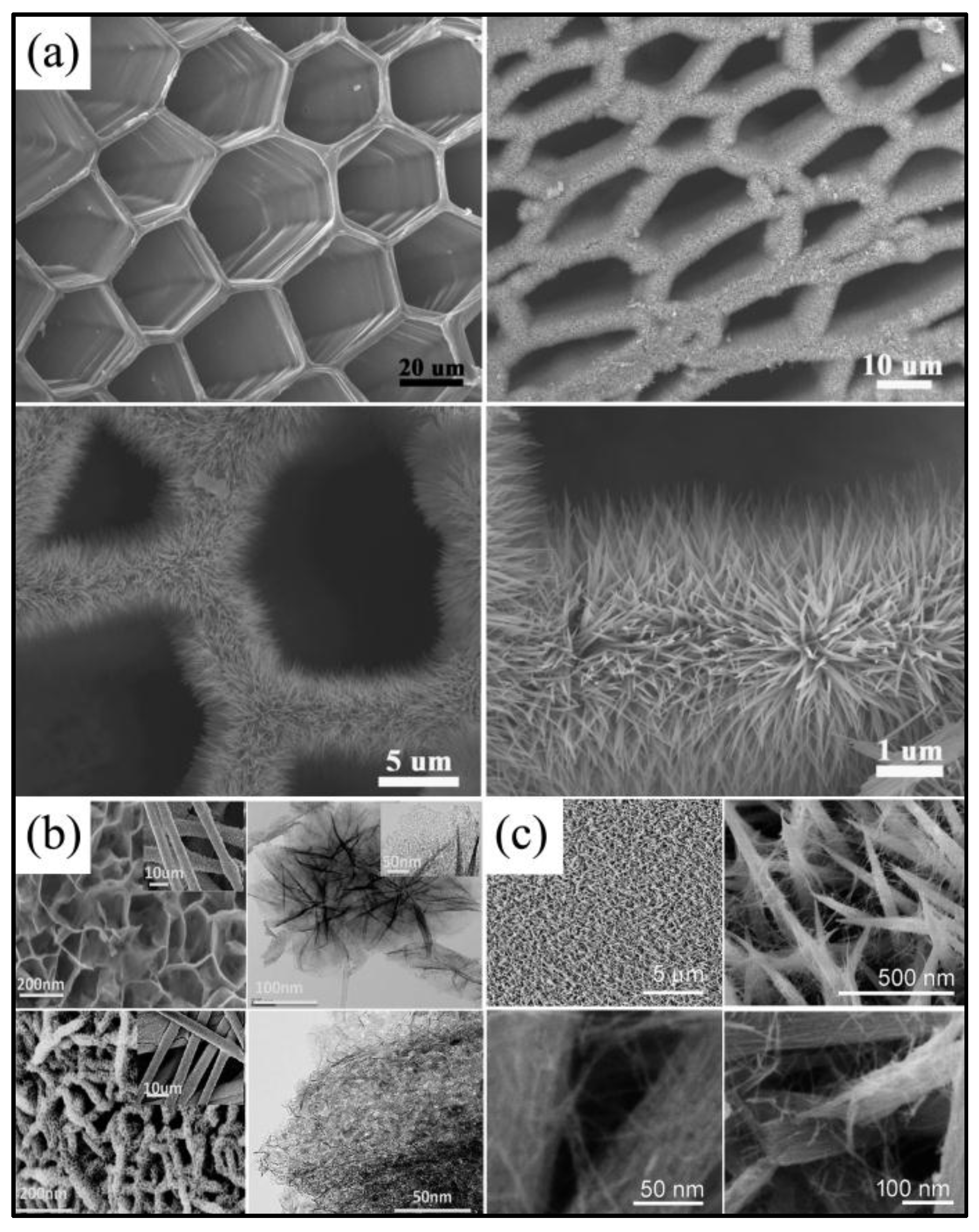 Nanomaterials 07 00041 g009
