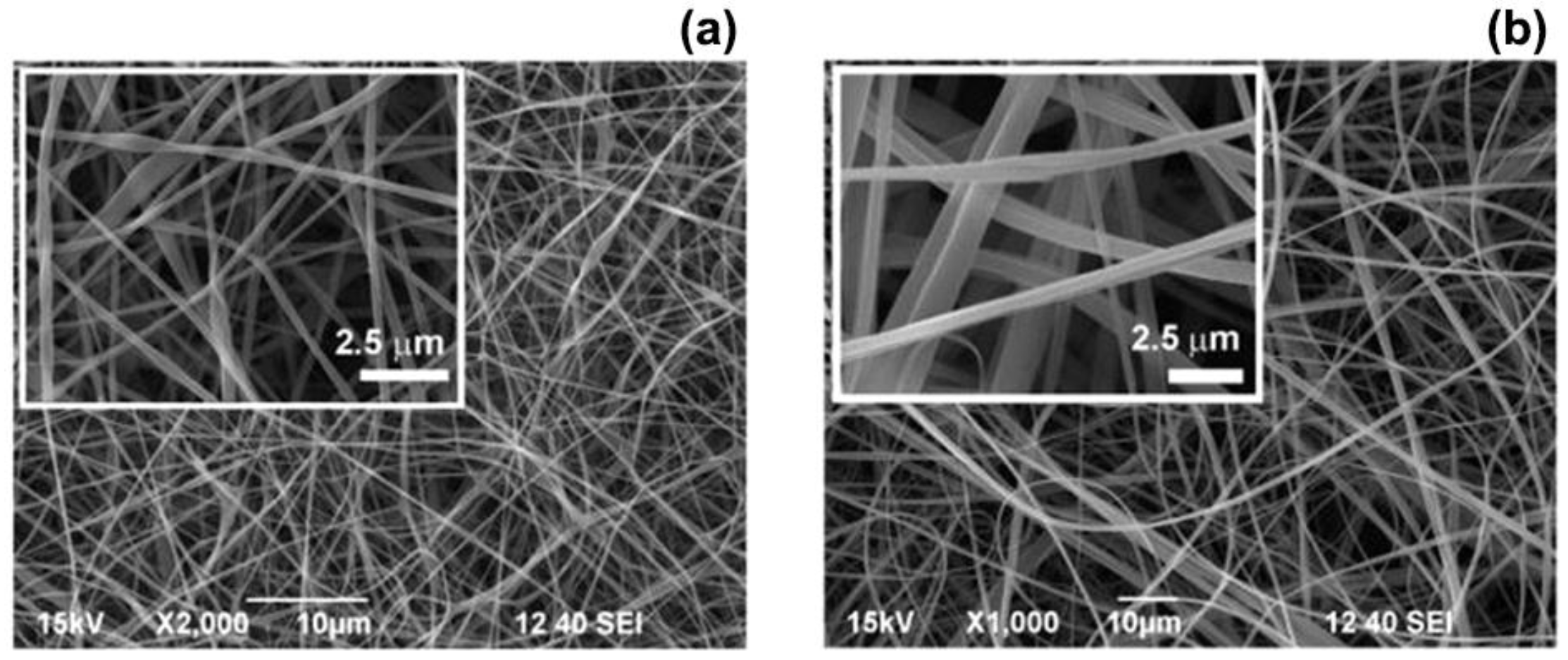 Nanomaterials 07 00042 g002