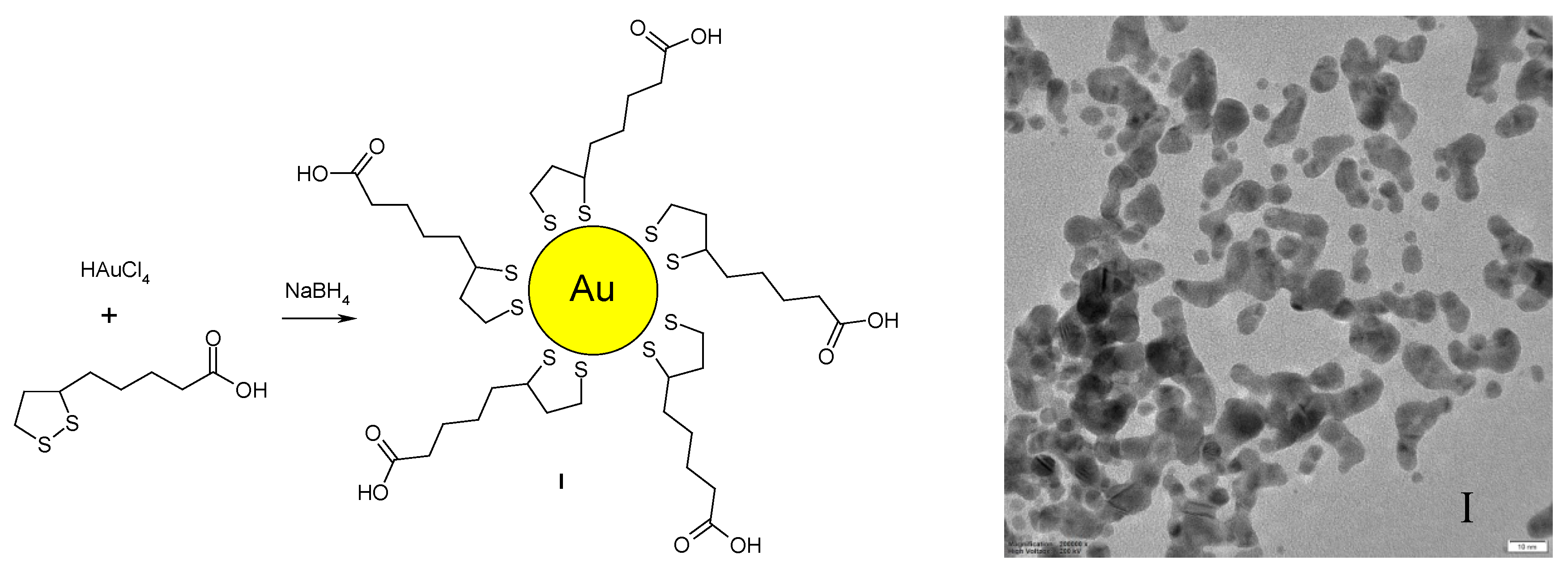 download gamma glutamyl transpeptidases structure